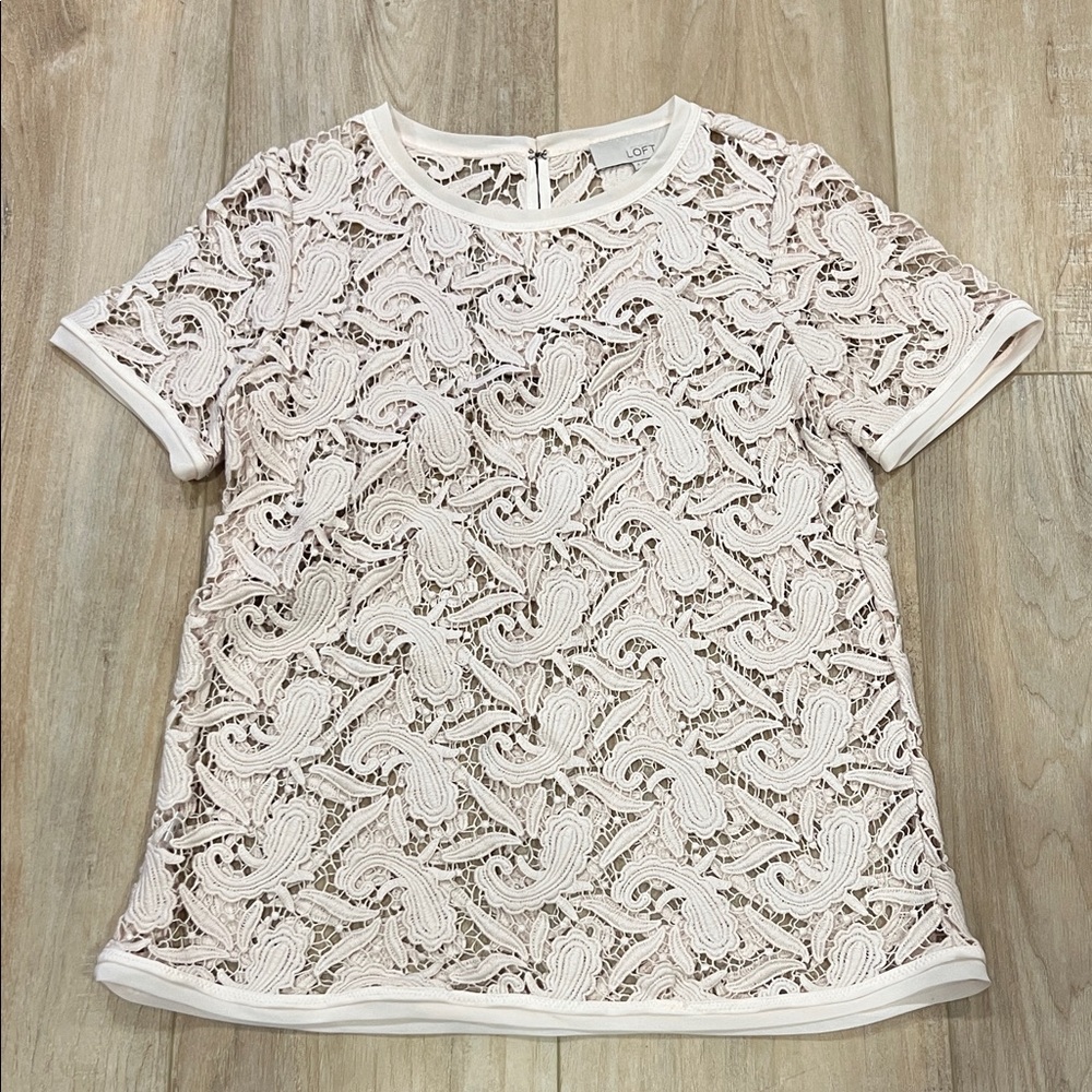 LOFT Short Sleeve Lace Top in Cream